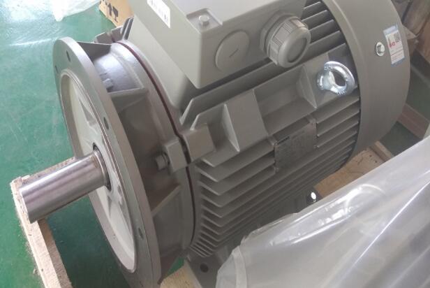 電摩電機(jī)型號(hào)有哪些，電摩電機(jī)型號(hào)詳解