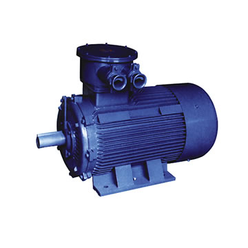 粉塵防爆電機(jī)